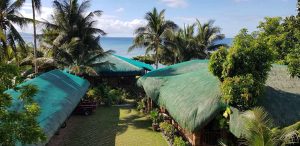 Coconut Shade Beach Resort Looc Romblon
