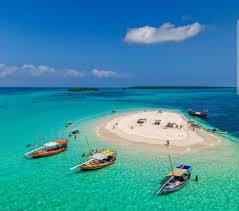 Zanzibar Tourism Surges Ahead of Essence Africa 2026